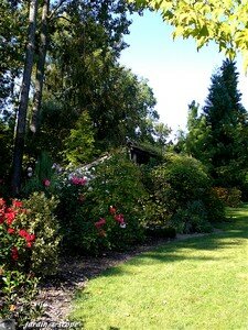 7444_Nouveau_jardin