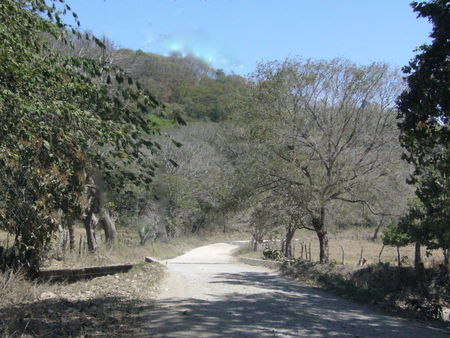 P1020118