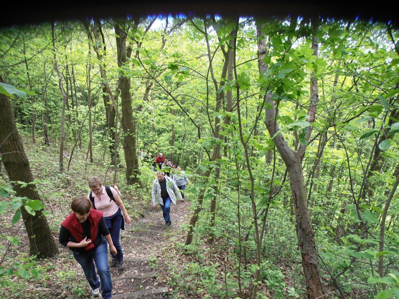 159 - Terril du 6 Hornu-Wasmes - escalade