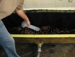 Vendanges_Aloha_06_018