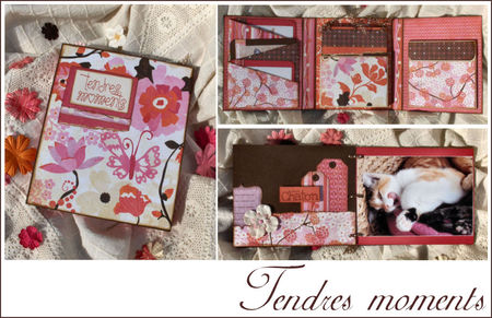 Tendres_moments