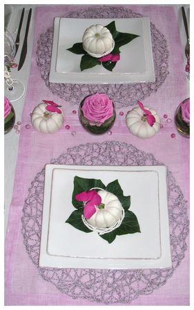 2009_09_06_table_rose_courge11