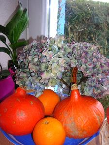 fleurs_d_automne_011