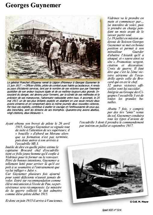 Georges Guyemer85