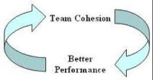 team cohesion better performance