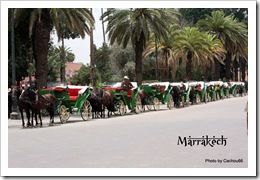 CALECHES OU TAXIS MAROCAINS (2)