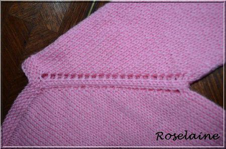 Roselaine719 tricot raglan