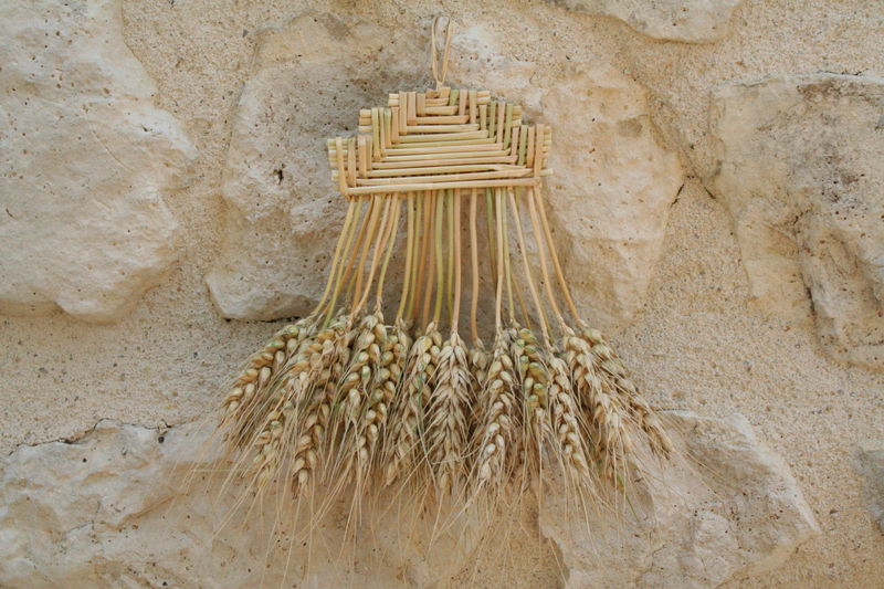 blés tressés