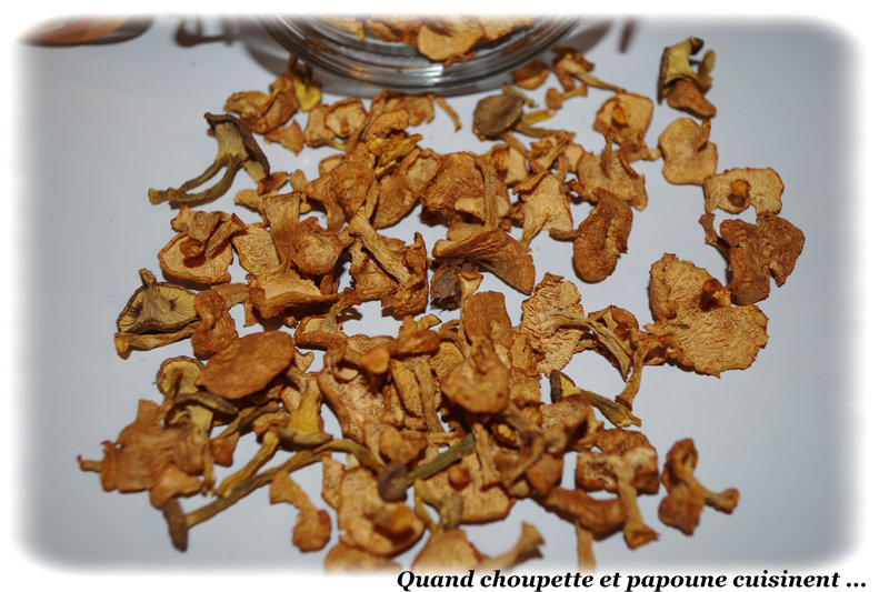 Chanterelles en tubes-8264