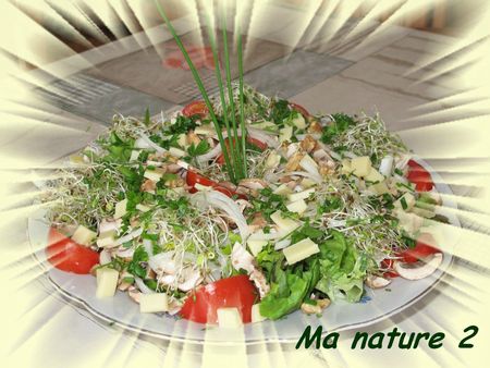 Salade savoyarde aux graines germées 001