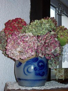 hortensias_pot_bleu