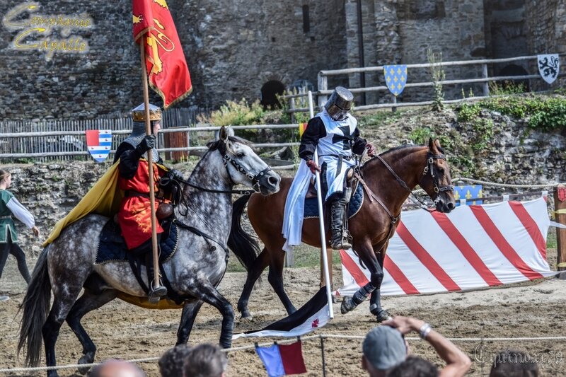 Chanson sur la mort du roi Richard Coeur de Lion Château Talmont