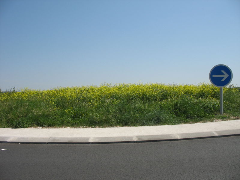 Aire d 'autoroute (49)