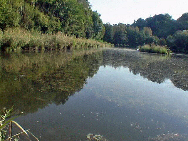 Etang la Cressonnière