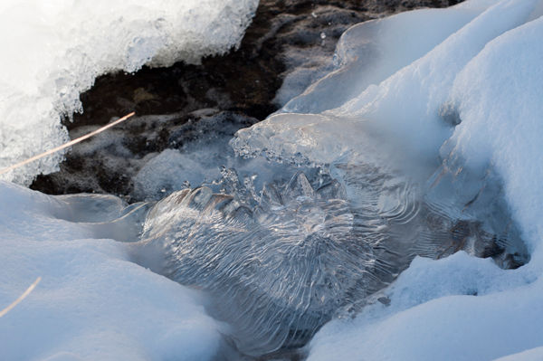 sculpture_de_glace_1