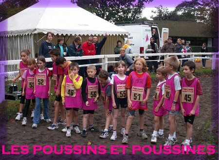 poussins___poussines