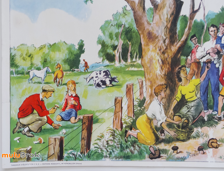 Affiche-CAMARADE-BLESSE-Champignons-9-muluBrok