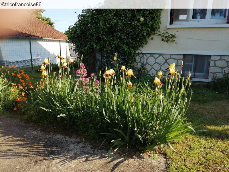 bloggif_5ea5d9980fe21