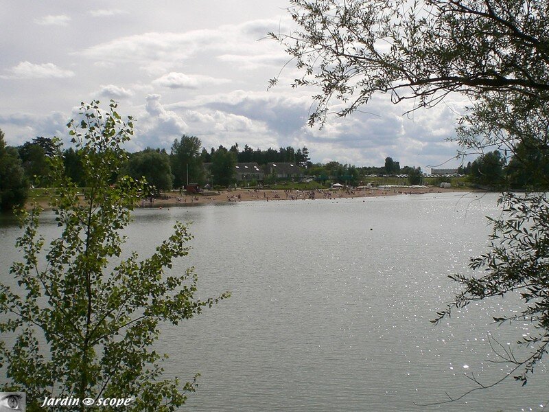 L''Ile Charlemagne à Orléans rive gauche de la Loire