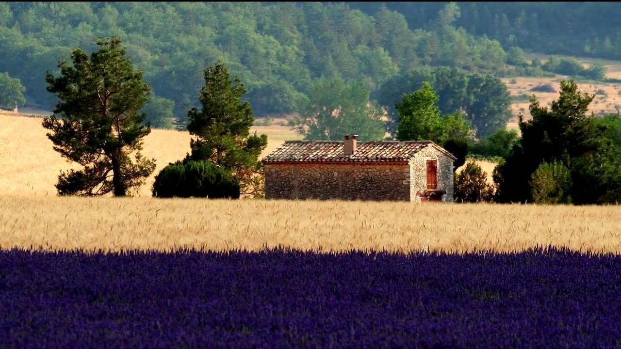 Cabanon des champs