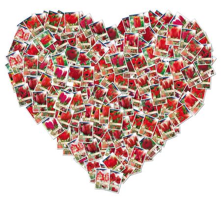 hart rouge1