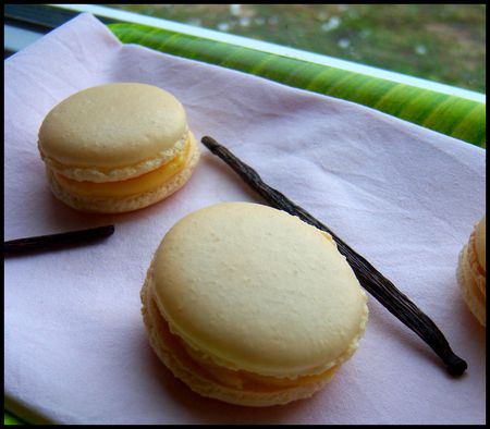 Des macarons, juste pour le plaisir ! recettes Marathon Macarons : 400 Macarons pour une Pièce Montée