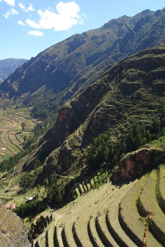 Noucelles terrasses en descendant sur Pisac