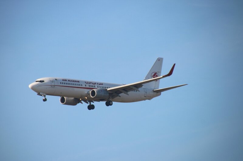 Boeing 737 d'Air Algérie