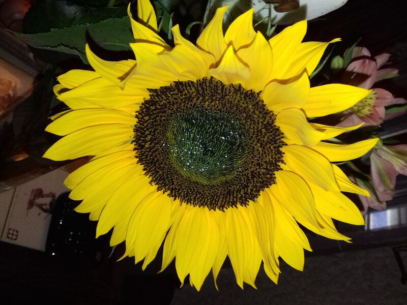 20180725_192330