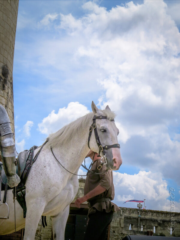 Château Saumur 1446 le Pas de Saumur