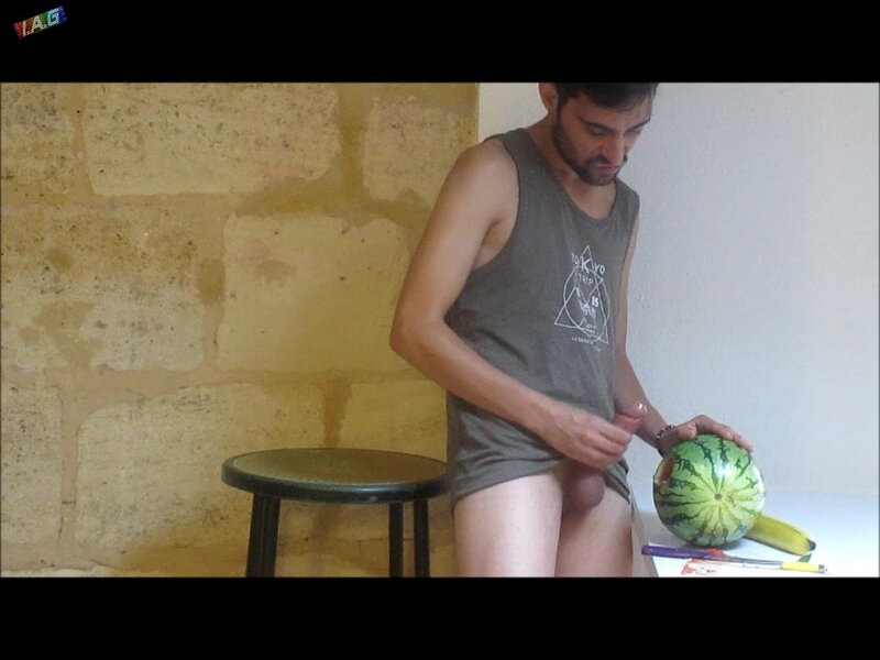 melon (105)