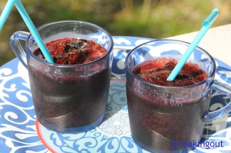 Granité aux myrtilles et sirop de fleur de sureau recettes Sirop de baies de sureau cuvée 2011 et confit de baies de sureau au Thermomix en bonus