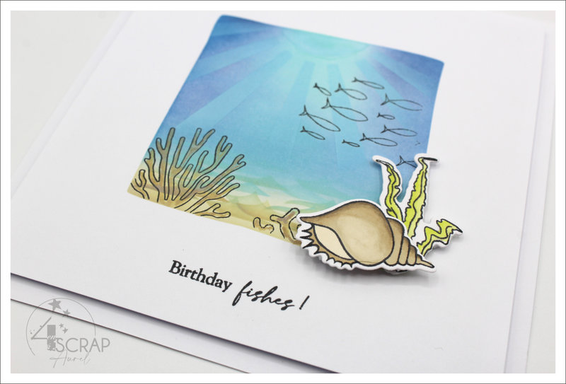 120522 - Cartes Fonds marins - AP E22 - J3 #6