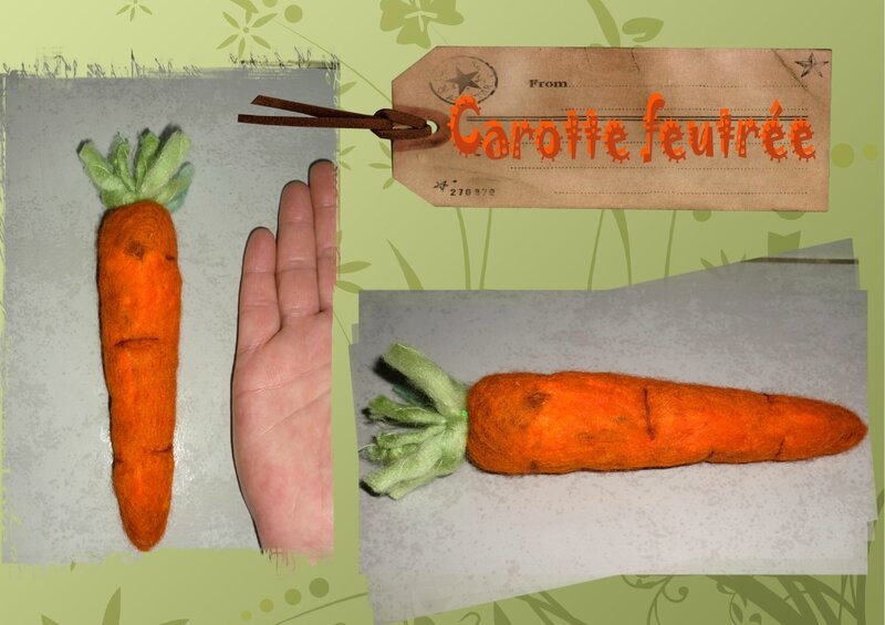 carotte feutrée