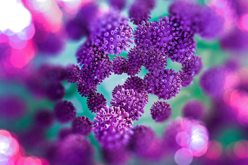 c0481508-coronavirus_particles_illustration_web
