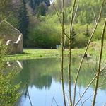 2013-05-0531