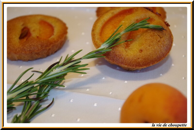 financiers aux abricots-15