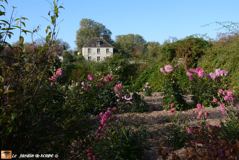 PAT_8976-Berville