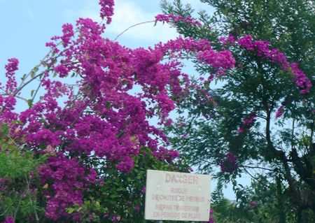 BOUGAINVILLIERS_ROUTE_MAIDO