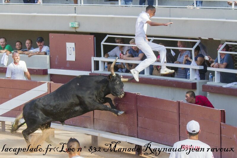 istres%2520le%25204%25208%2520201520150808019199