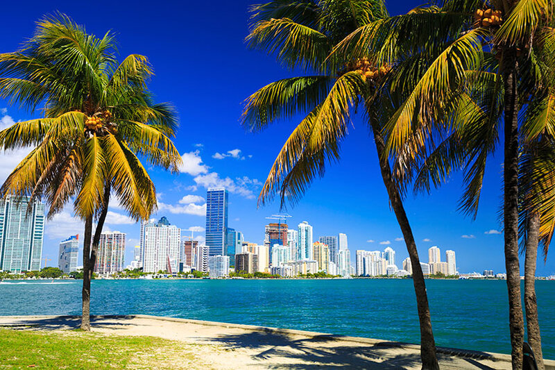 _Image__image_Etats_Unis_Miami_Palmiers_panorama_54_it_36756000_09032017