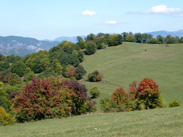 a34