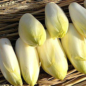 endives