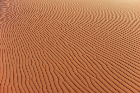 Dune_45__parc_du_Namib_Naukluft__Namibie