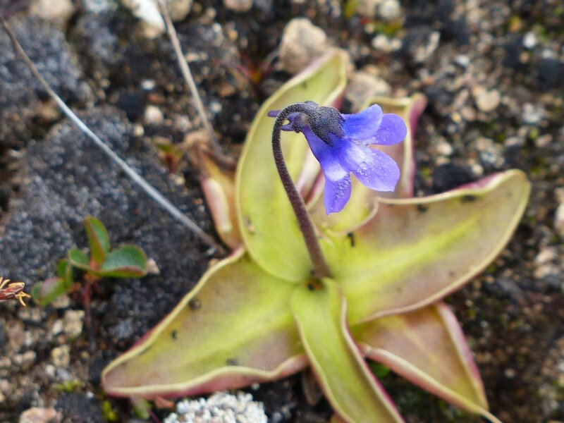 P1250702