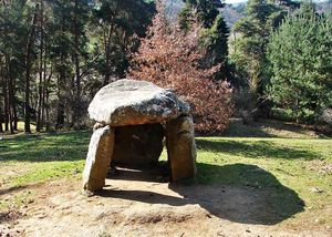 Saint_Nectaire_dolmen_Parc_5