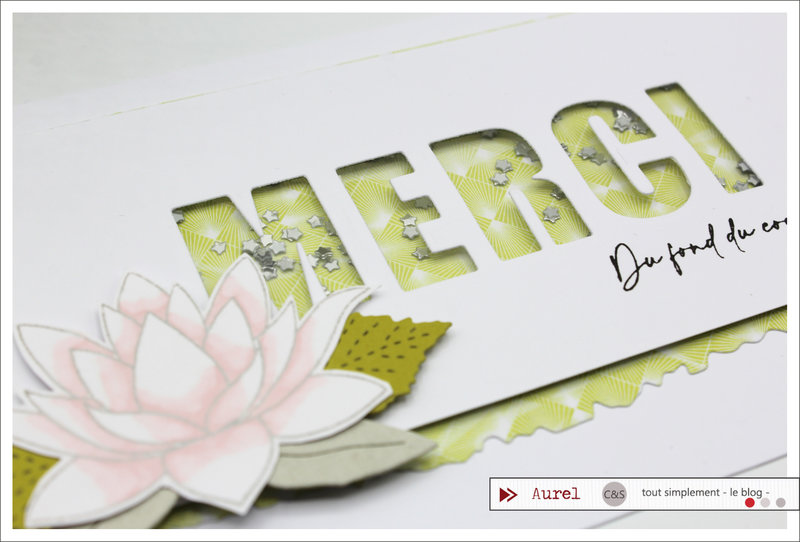 03 - 090322 - Carte Merci du fond du coeur - Shaker card Maryscrap #5