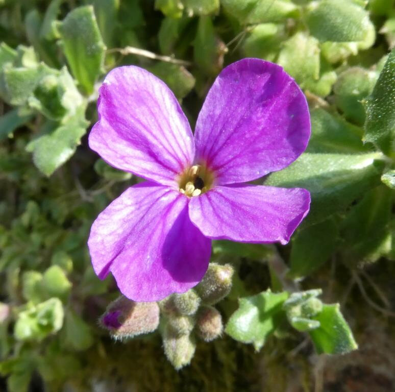 P1010521