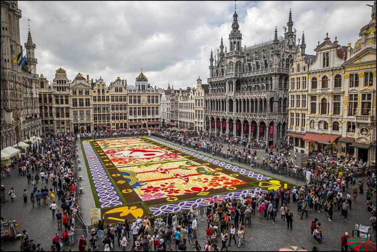 tapisfleursbruxelles01