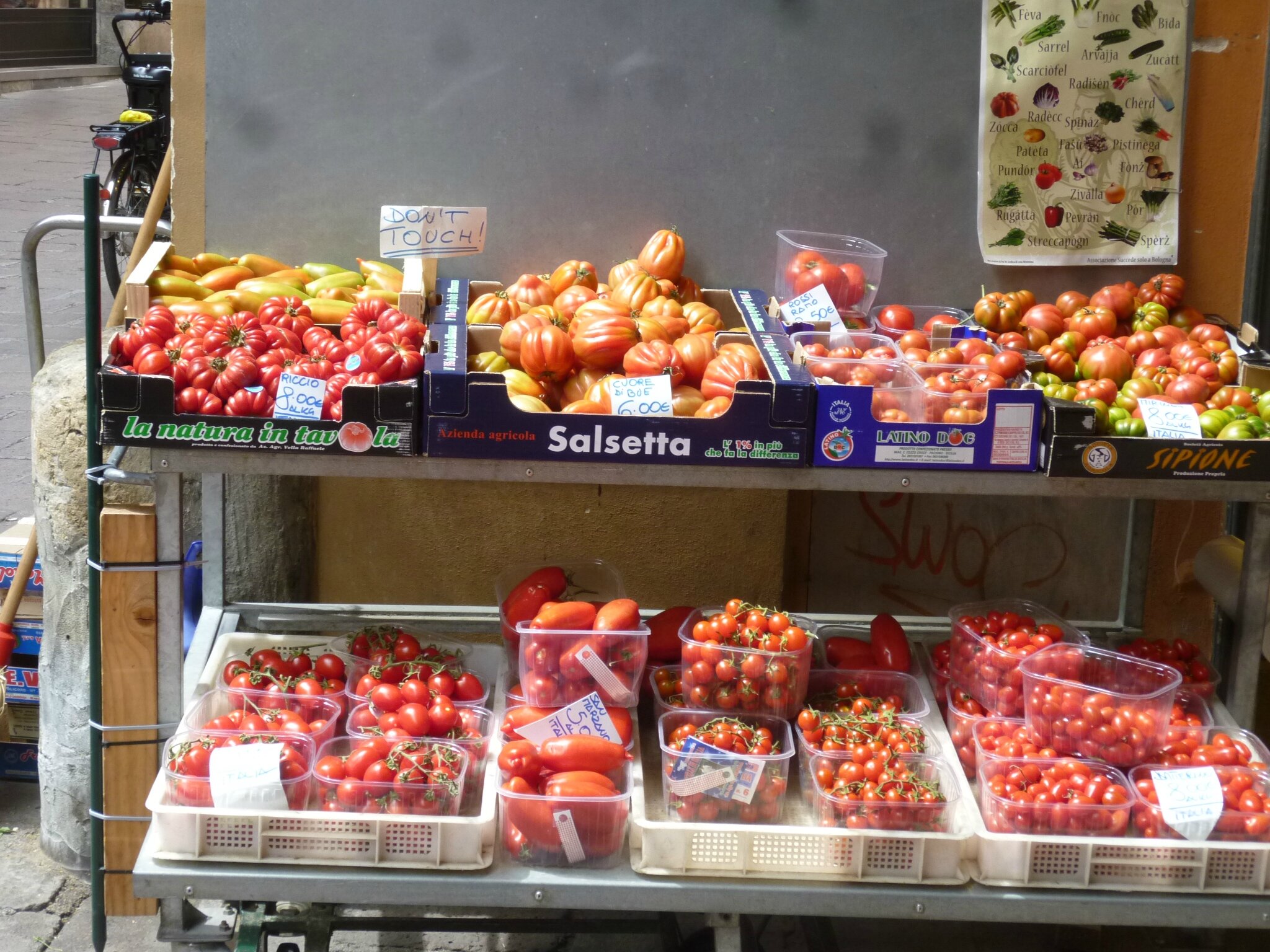 Tomates italiennes